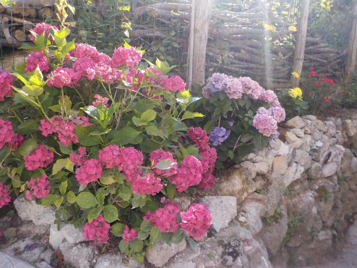 Il Paradiso Degli Dei 2 Agerola Esterno foto