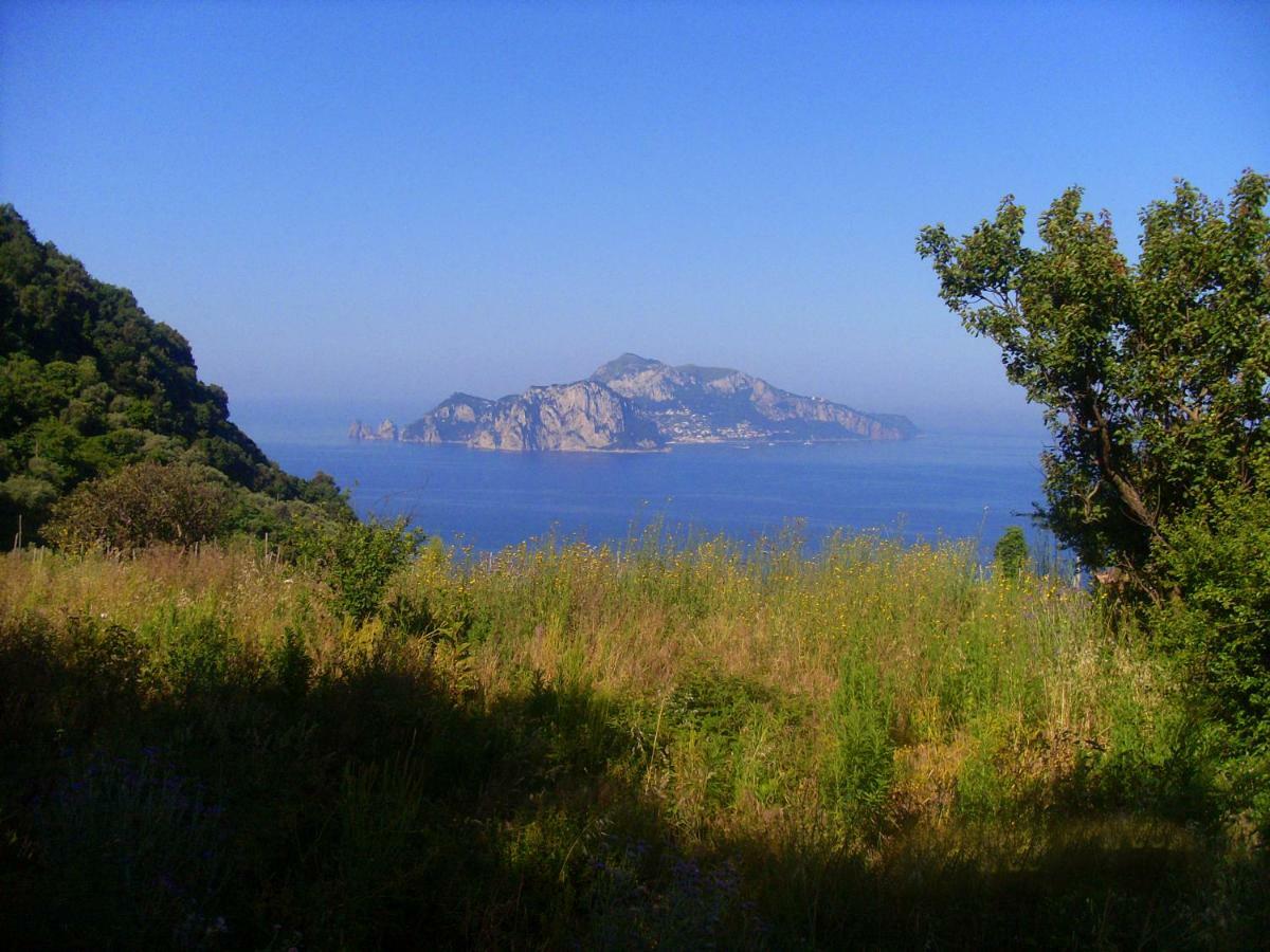 Il Paradiso Degli Dei 2 Agerola Esterno foto